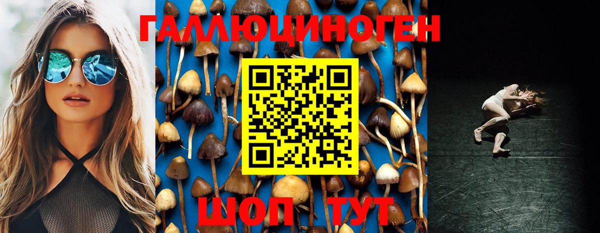 Апатиты  Галлюциногенные грибы Cubensis  купить наркоту  Вход с VPN 