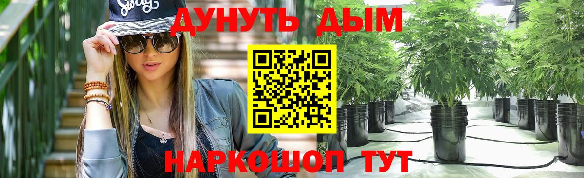 Канабис сатива Апатиты